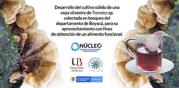 Socialización de resultados del proyecto BIO545