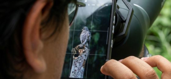 Ojo de pájaro, una mirada a la biodiversidad de Zetaquira